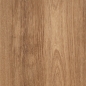 Preview: Aspect Downing Oak Light 0,30 mm